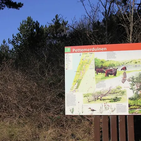 Holiday Cosy بيتين